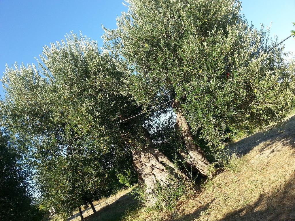 Masseria Marico Castellaneta Exterior foto